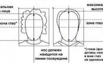 Требования к фотографии на шенгенскую визу